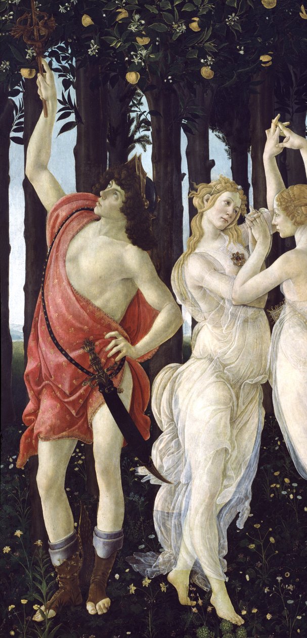 Primavera, c.1478, 558 panel detayında tempera by Sandro Botticelli