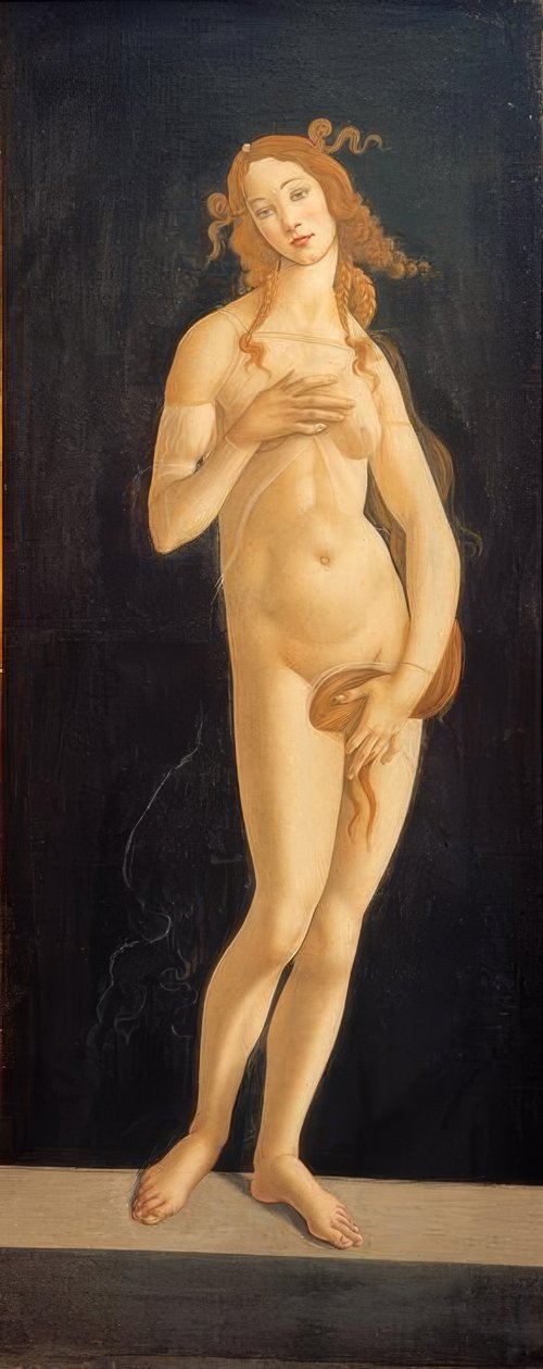 Venüs by Sandro Botticelli