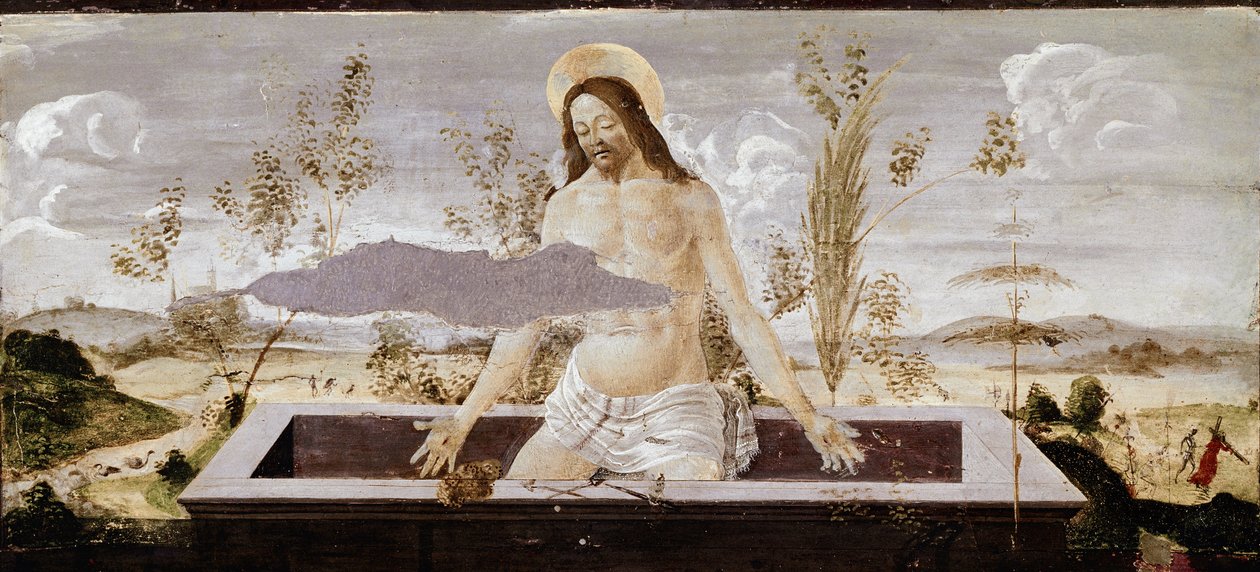 Meryemana resmi. St Barnaba sunağı detayı (ahşap üzerine tempera) by Sandro Botticelli