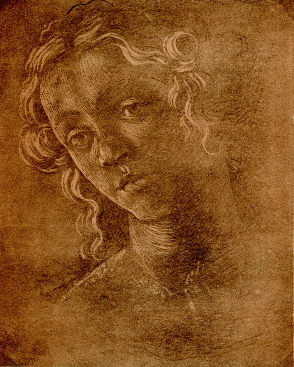 kadın kafa by Sandro Botticelli