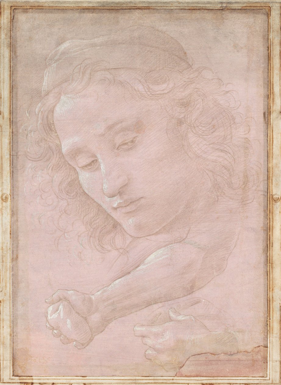 Şapkalı Bir Genç Başkanın; Elin Taşı Tuttuğu Sağ Ön Kol; ve Perdeyi Tutan Sol El by Sandro Botticelli