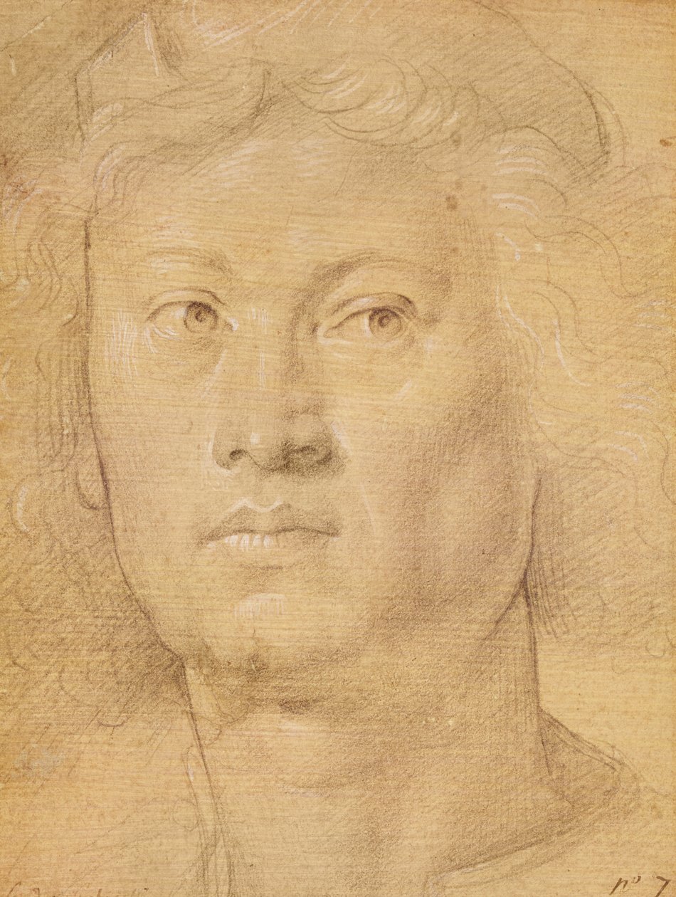 Angel of Head (kağıt üzerinde kurşun kalem ve pastel boya) by Sandro Botticelli