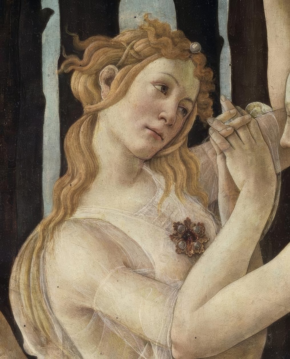 Bahar by Sandro Botticelli