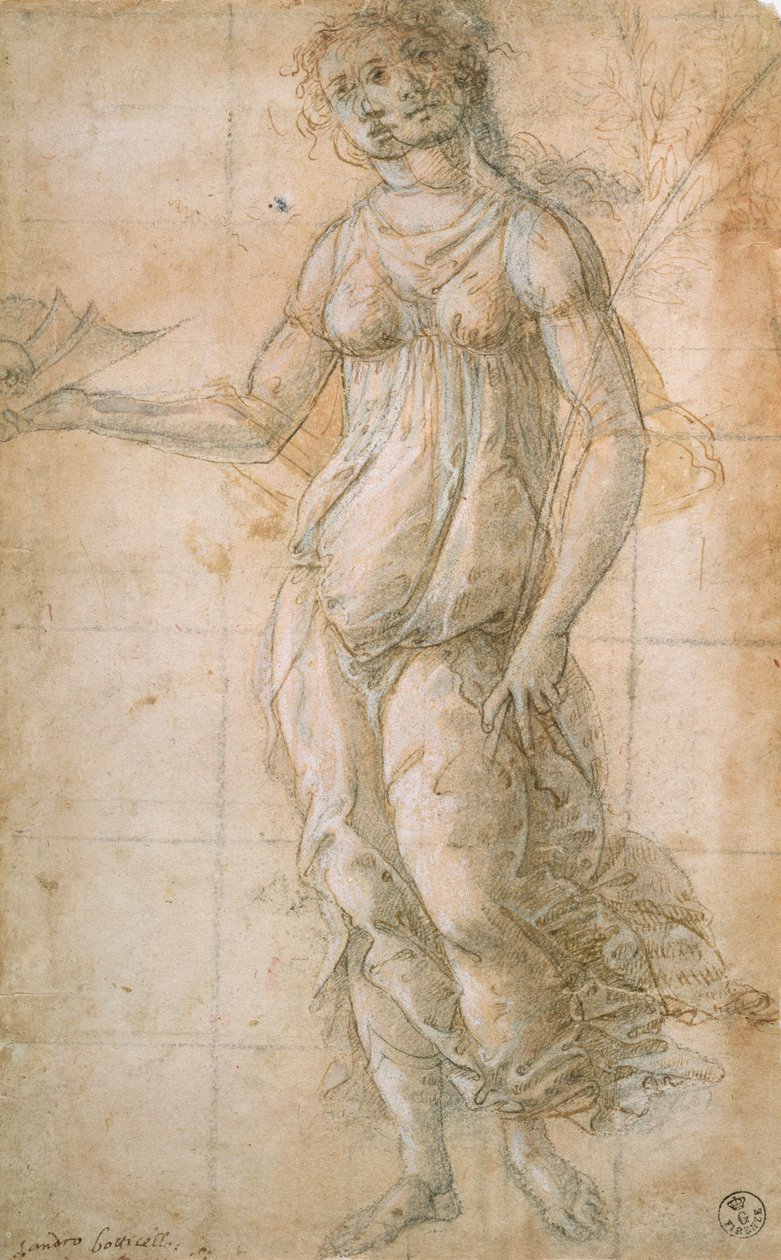 Athene Çalışması (çizim) by Sandro Botticelli