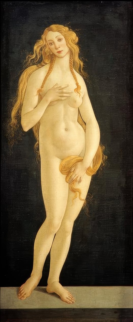 Venüs by Sandro Botticelli
