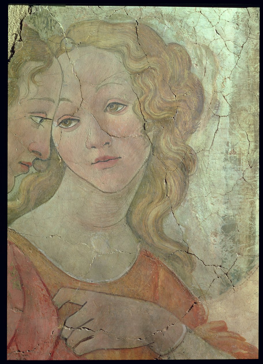 Venüs ve Genç Bir Kıza Hediyeler Sunan Üç Güzel, lütuflardan birinin detayı, c.1483 33760 fresk detayı ayrıca bkz. 93891-2, 93894 by Sandro Botticelli