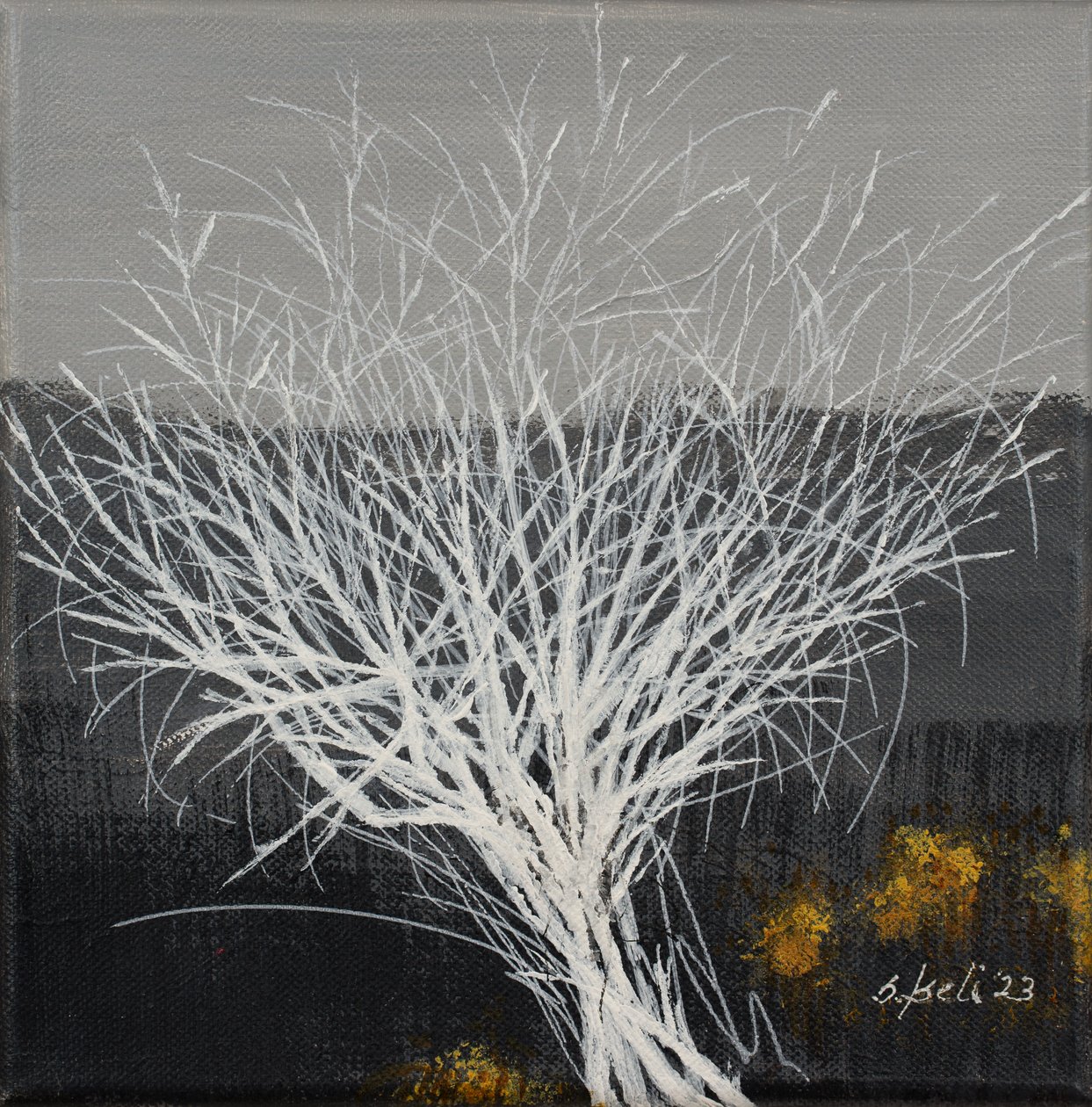  by Sandy Iseli