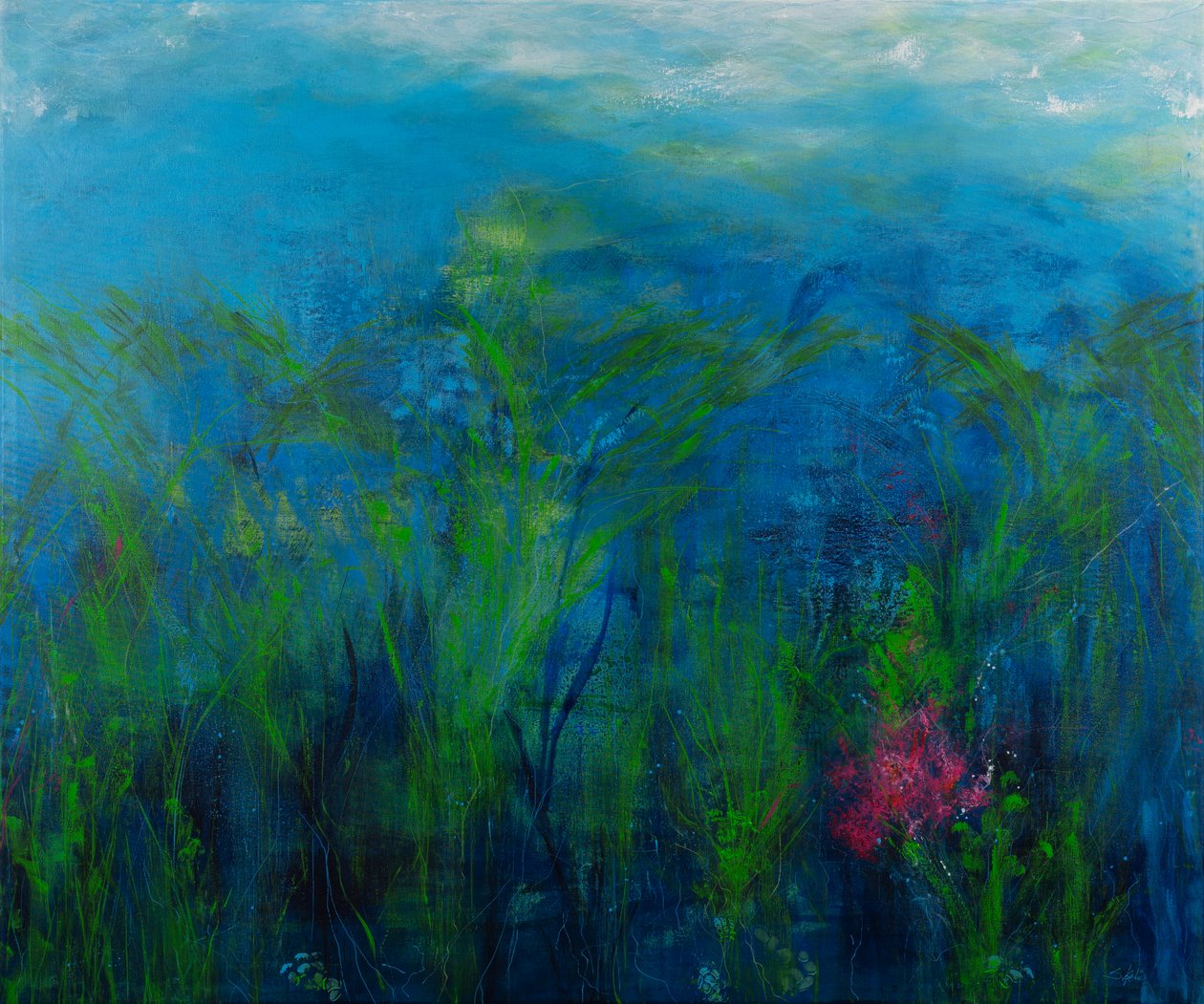  by Sandy Iseli