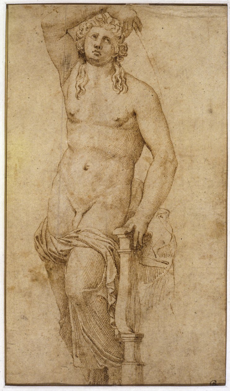 Apollon by Raffaello Sanzio Raphael