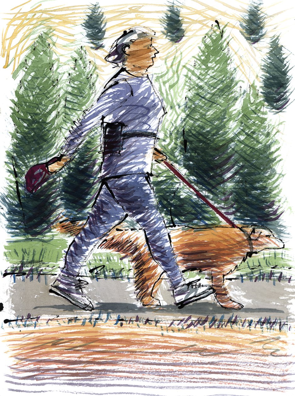 Köpek Yürüyüşü, 2009 (akrilik) by Sara Hayward