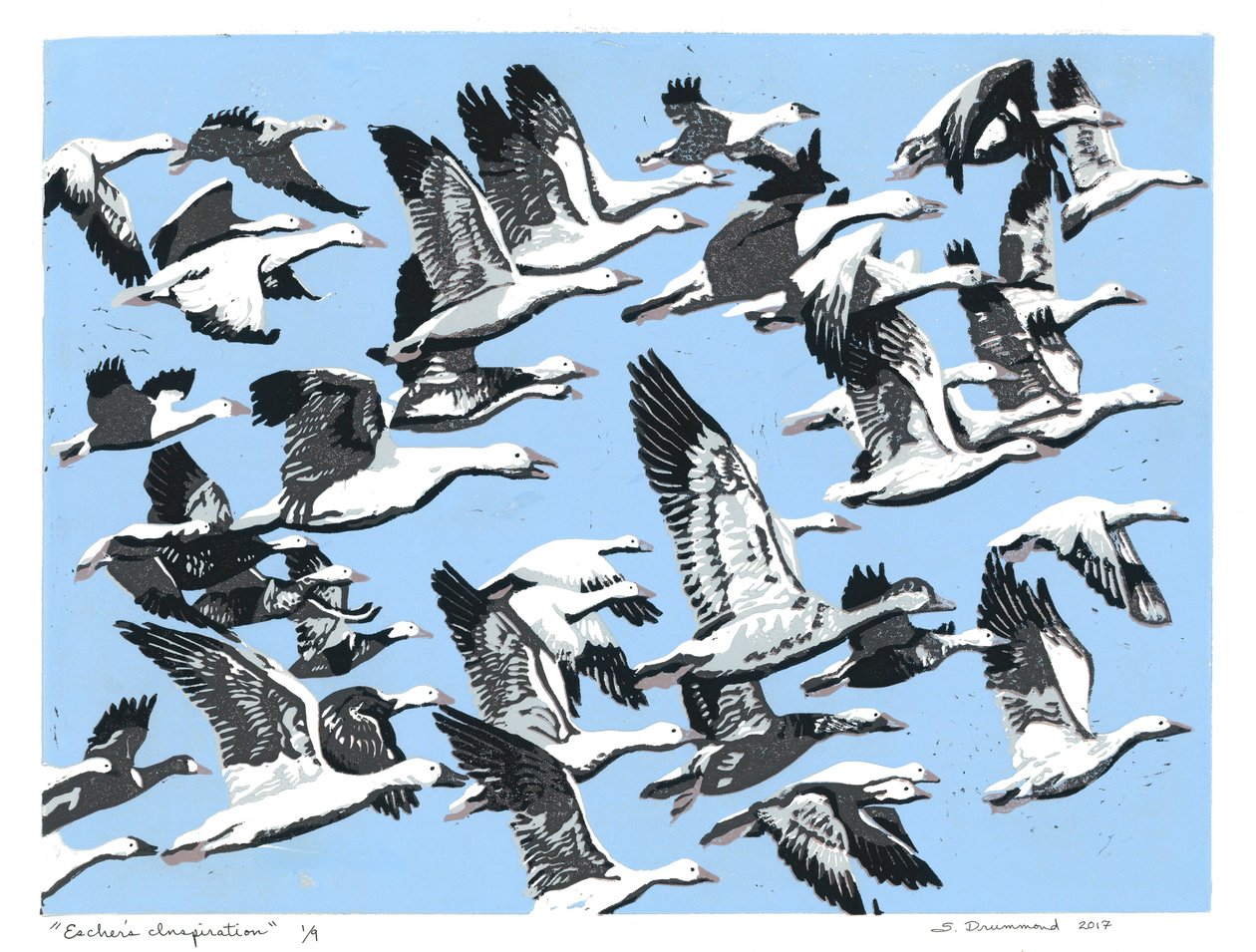  by Sarah Drummond