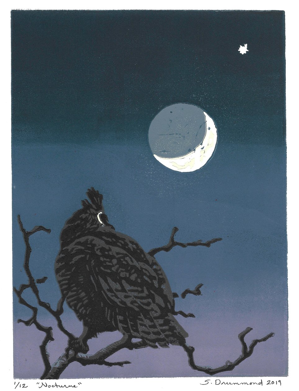  by Sarah Drummond