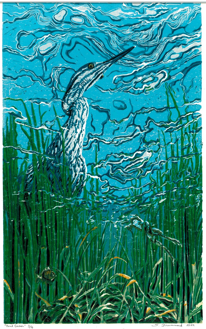  by Sarah Drummond