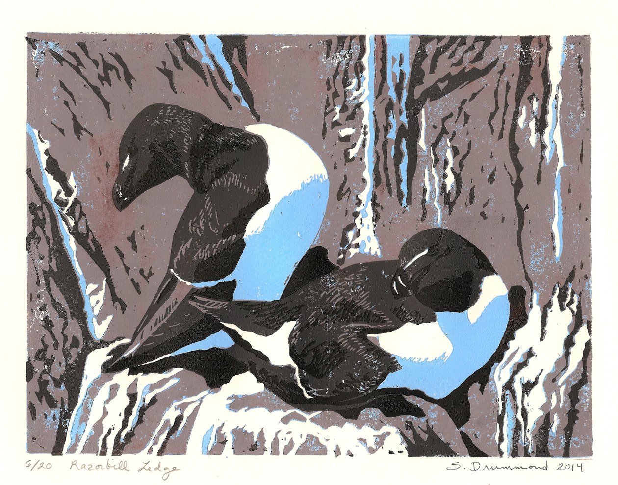 Razorbill Çıkıntısı, 2014 (Linocut) by Sarah Drummond