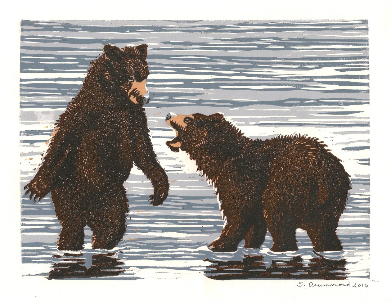  by Sarah Drummond