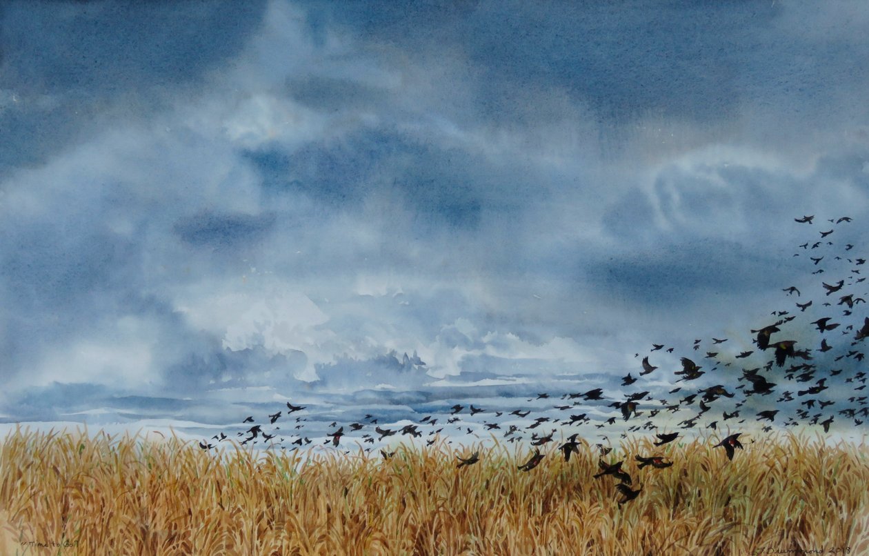  by Sarah Drummond