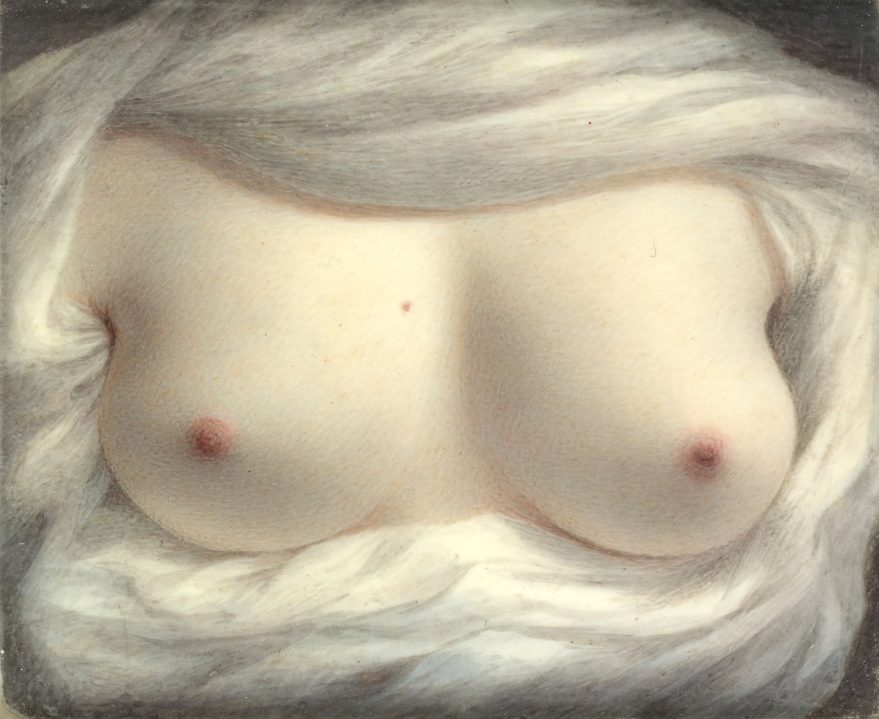 Güzellik Ortaya Çıktı, 1828. by Sarah Goodridge