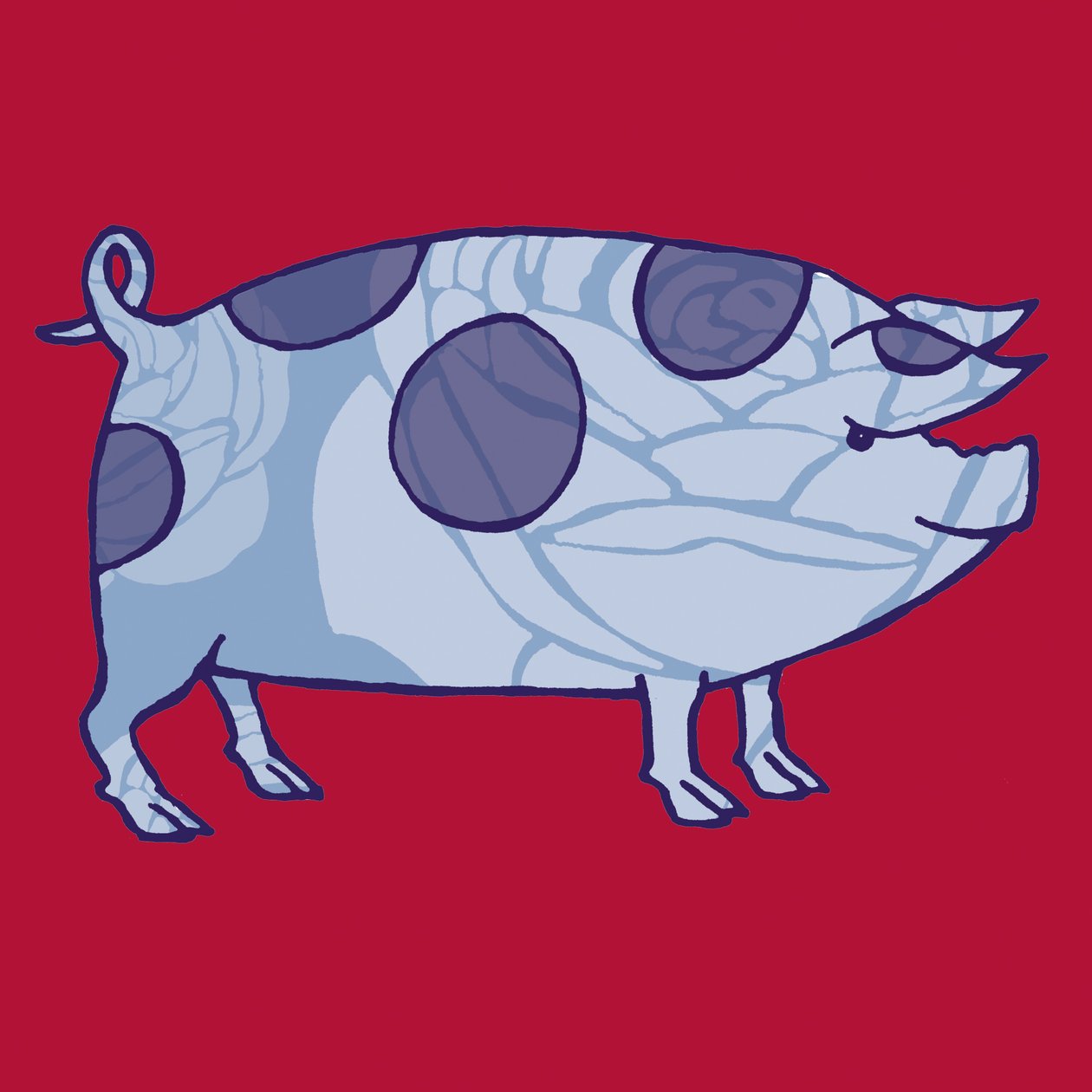 Piddle Valley Pig, 2005 (dijital) by Sarah Hough