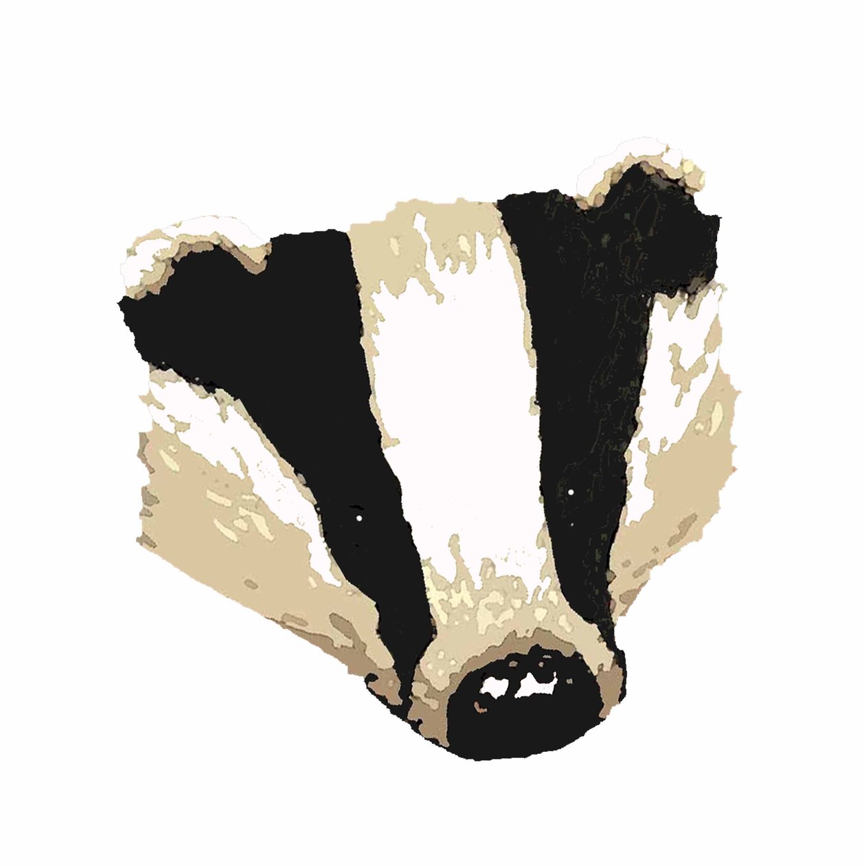 Badger,2018,(dijital çizim) by Sarah Thompson Engels