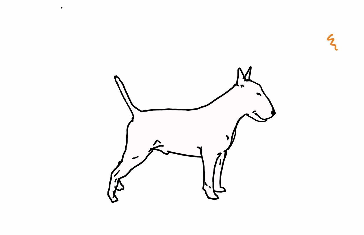 Bull terrier,2018,(dijital çizim) by Sarah Thompson Engels