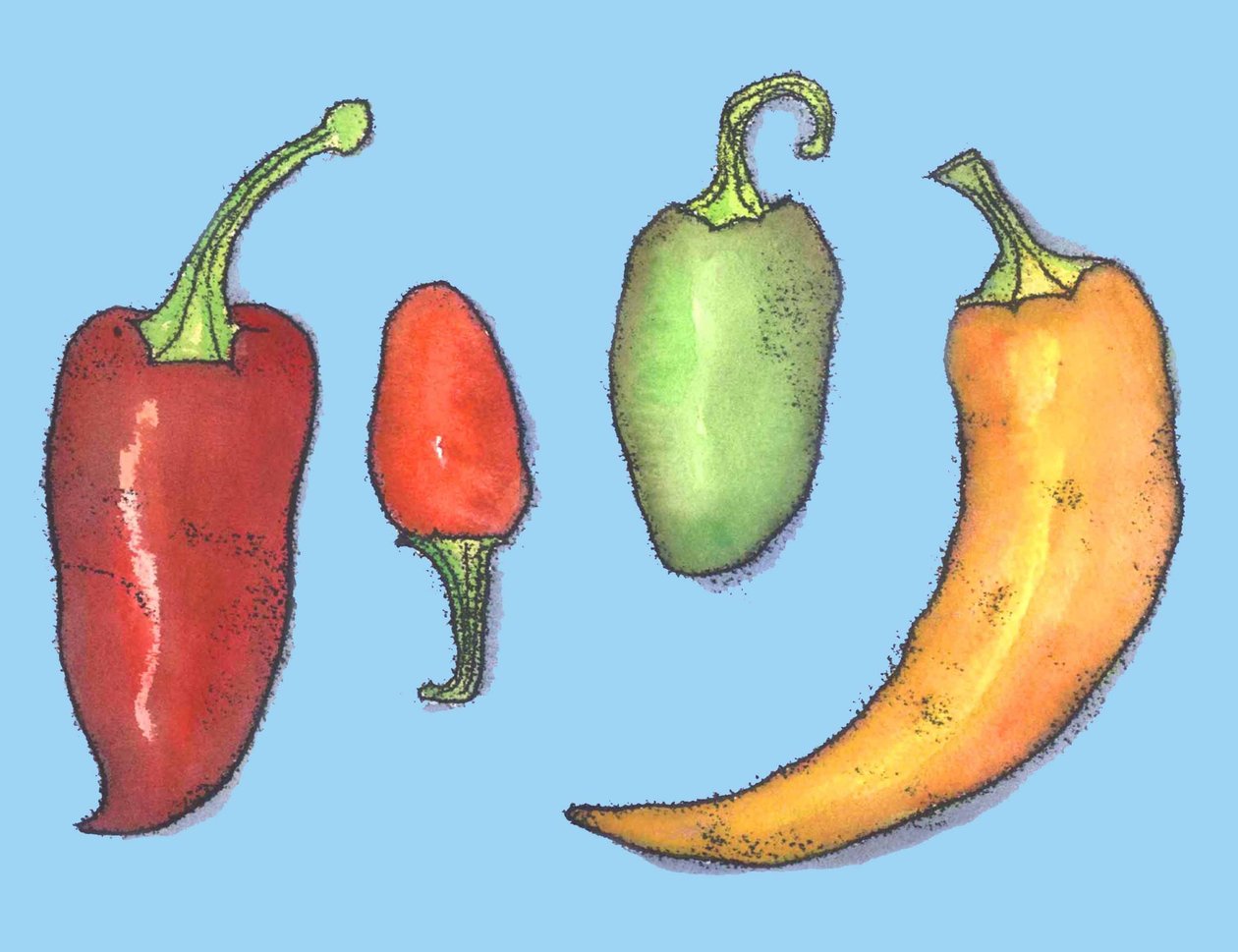 Acı biber,2013,(tek baskı) by Sarah Thompson Engels
