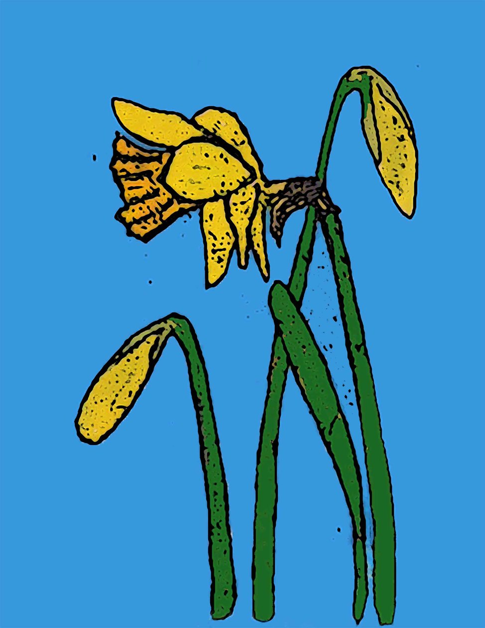 Nergis,2015 (mürekkepli monoprint) by Sarah Thompson Engels