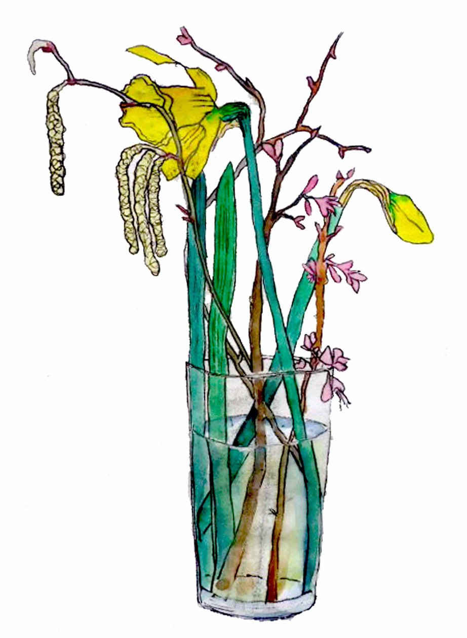 Nergis ve kedicikler,2018 (sulu boya) by Sarah Thompson Engels