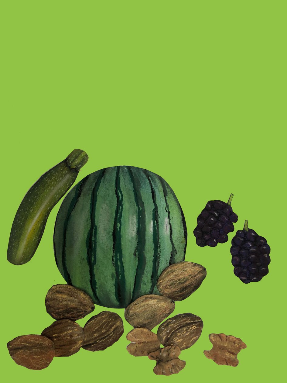 Meyve ve sebzeler,2020,kesilmiş by Sarah Thompson Engels
