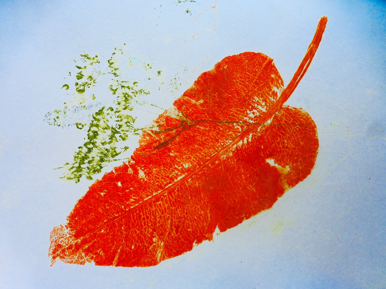 Portakal yaprağı (kağıt üzerine monoprint) 2020 by Sarah Thompson Engels
