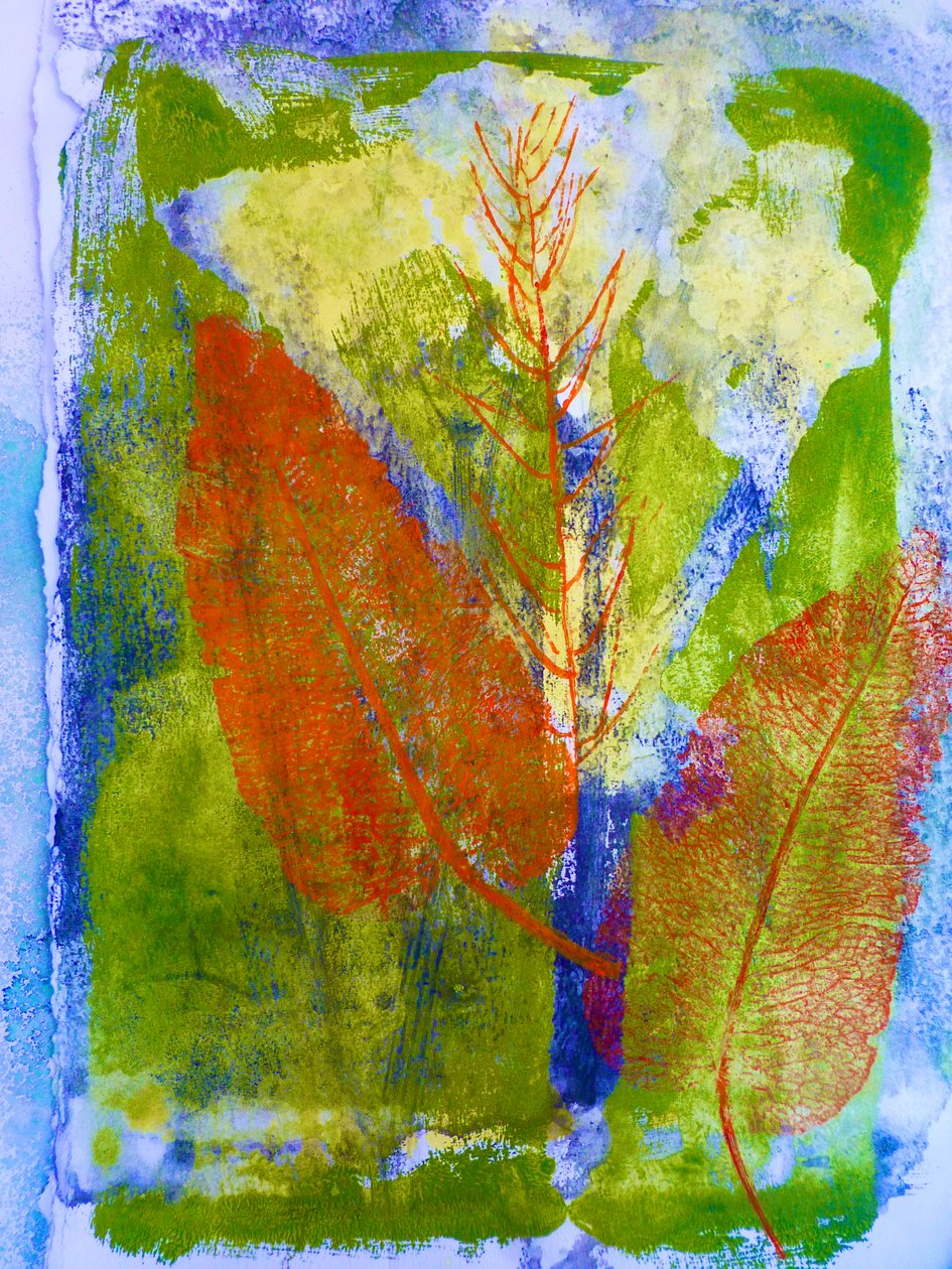 Portakal yaprakları (kağıt üzerine monoprint) 2020 by Sarah Thompson Engels