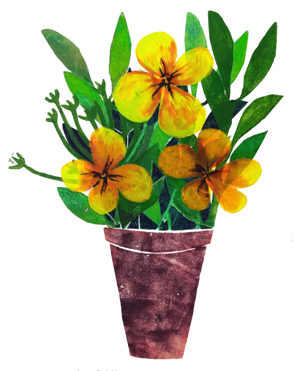 Sarı saksı,2019,(tek baskı) by Sarah Thompson Engels