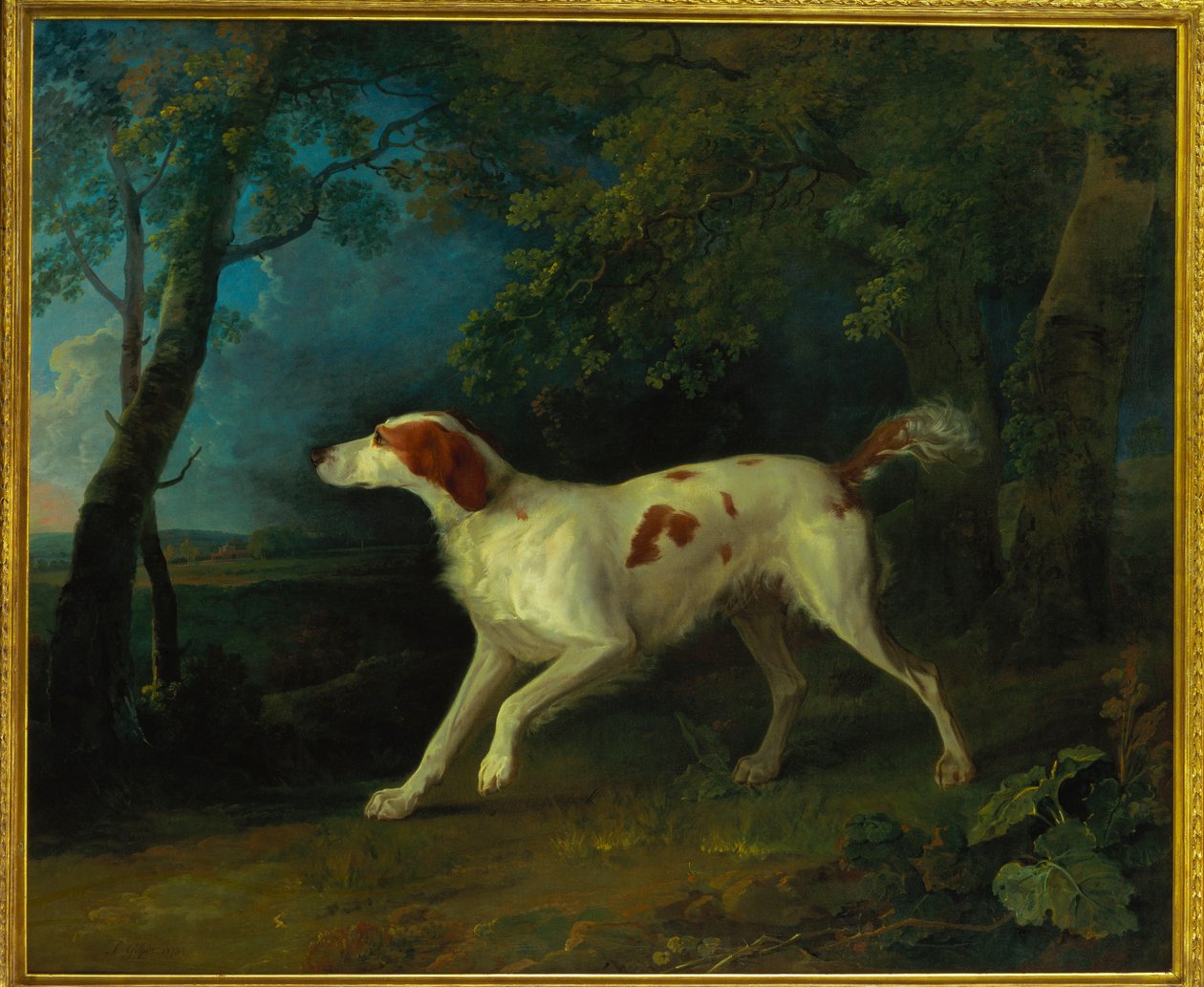 Ormanlık bir alanda kahverengi ve beyaz bir pasör, 1773 by Sawrey Gilpin