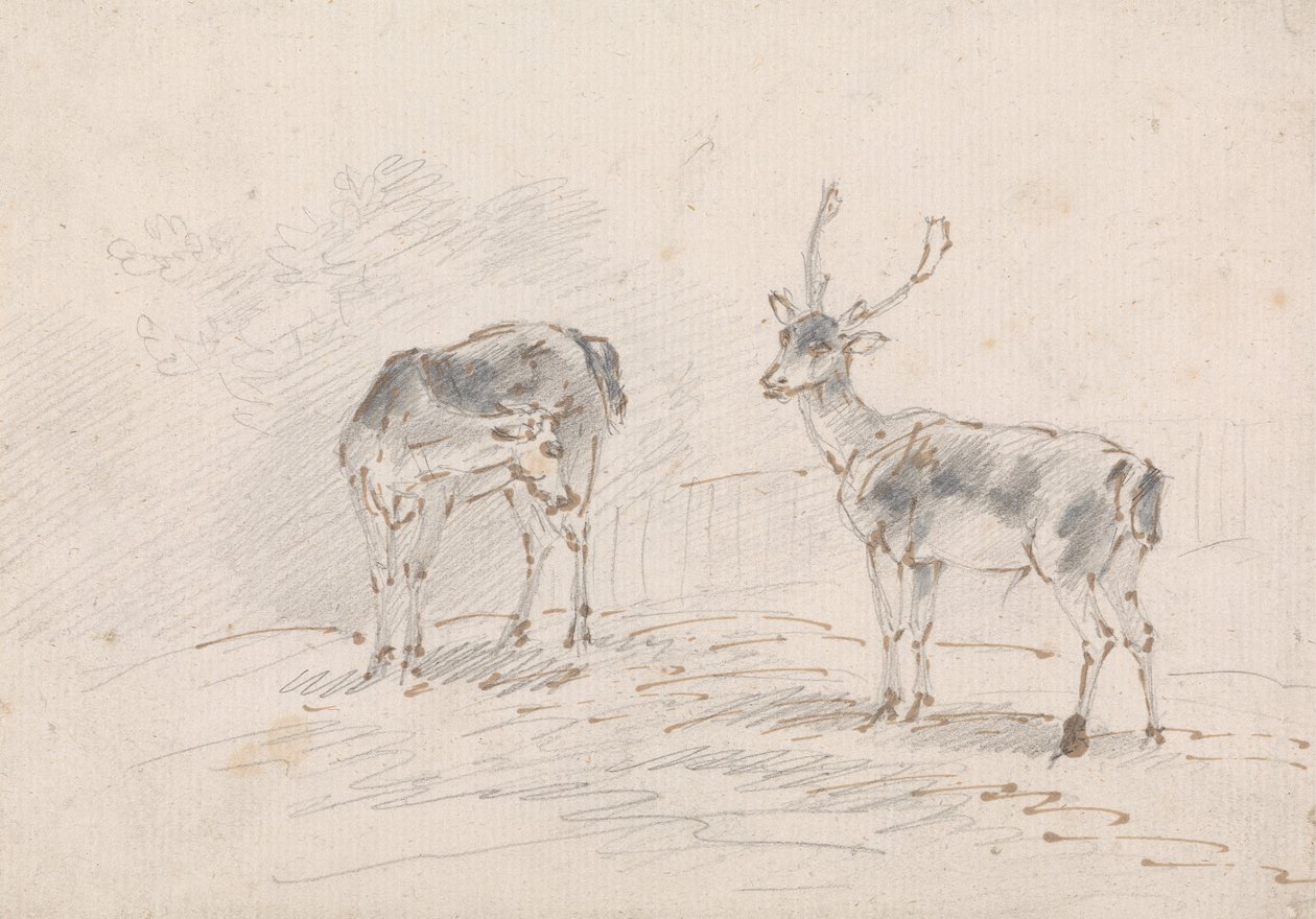Doe ve Buck by Sawrey Gilpin