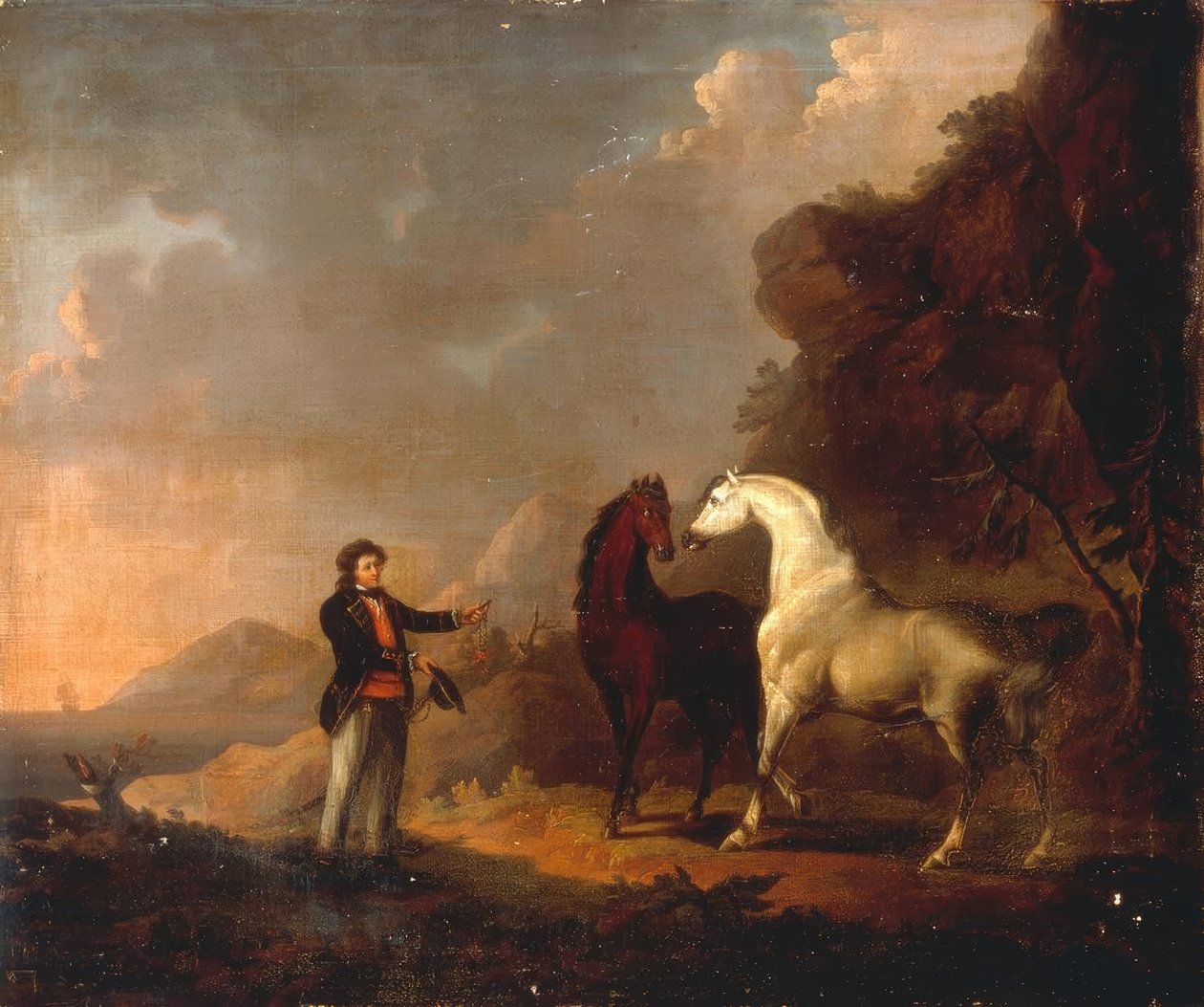 Gulliver, Houyhnhnms