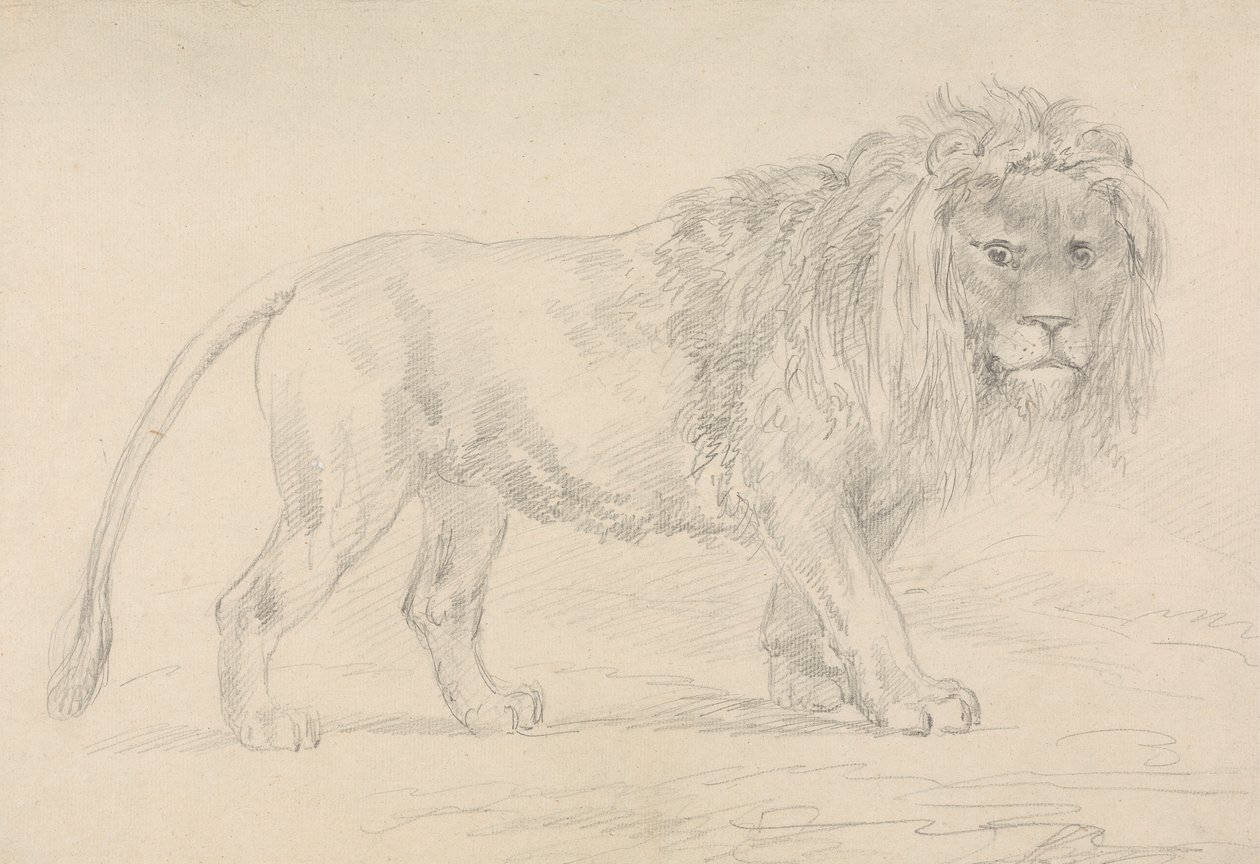 Aslan Yürüyüşü by Sawrey Gilpin