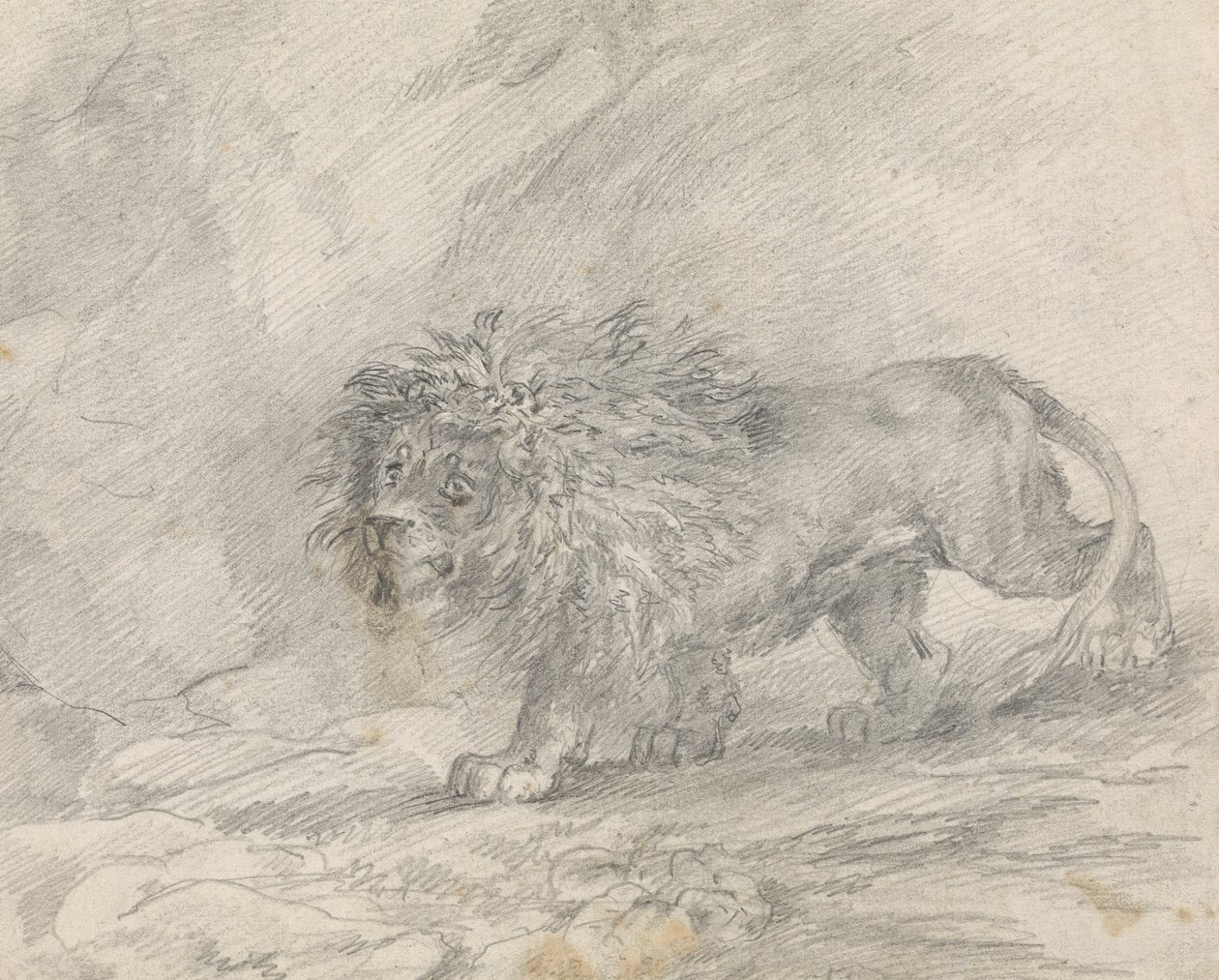 Kayalık Manzarada Yürüyen Aslan by Sawrey Gilpin