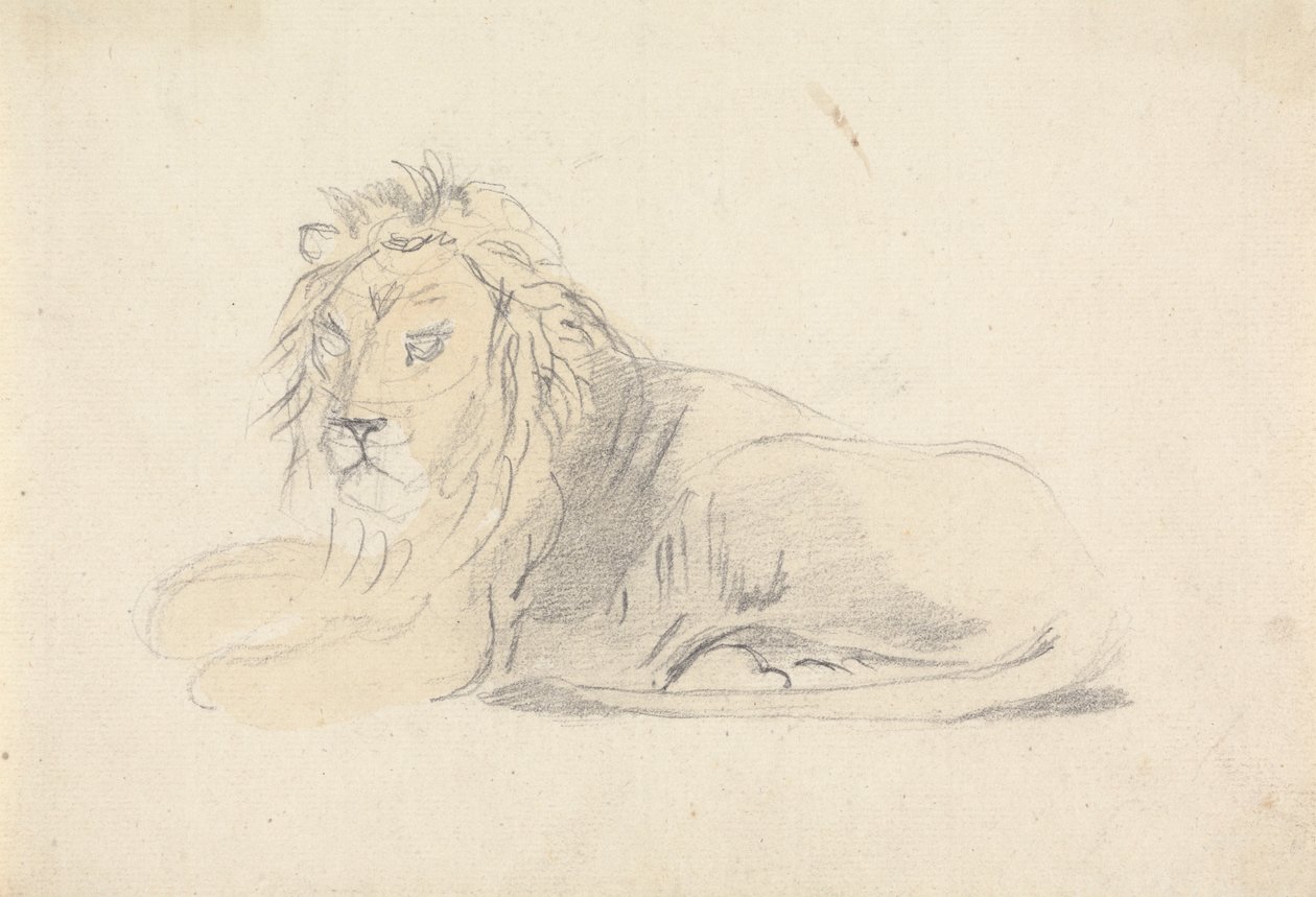 Aslan Çalışması by Sawrey Gilpin