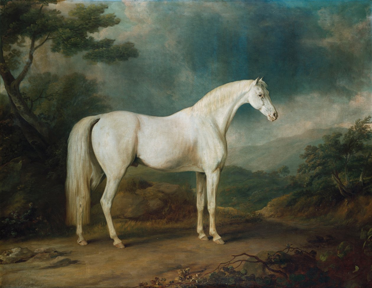 Ormanlık bir alanda beyaz at, 1791 by Sawrey Gilpin