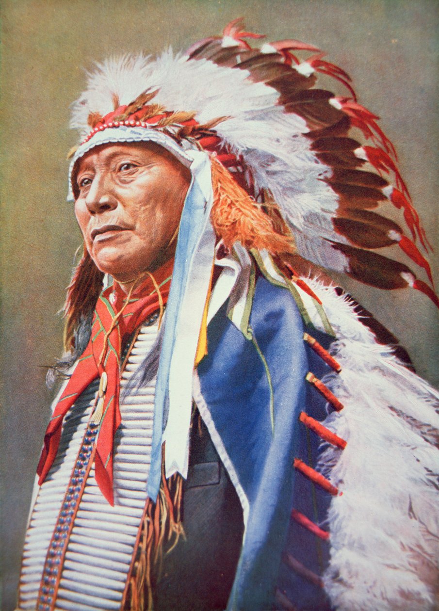 Baş İçi Boş Boynuz Ayı (1850-1913) (renkli taş) by School American