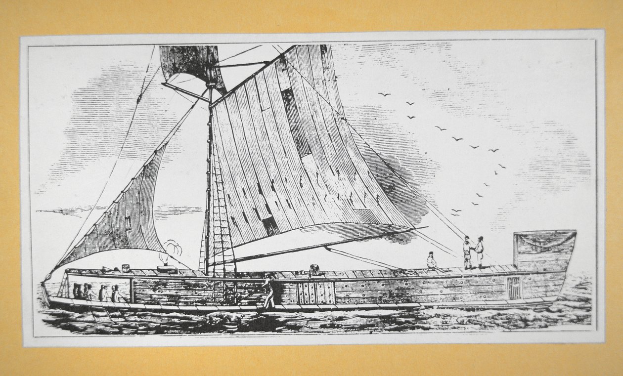 Mississippi Salma teknesi (gravür) by School American