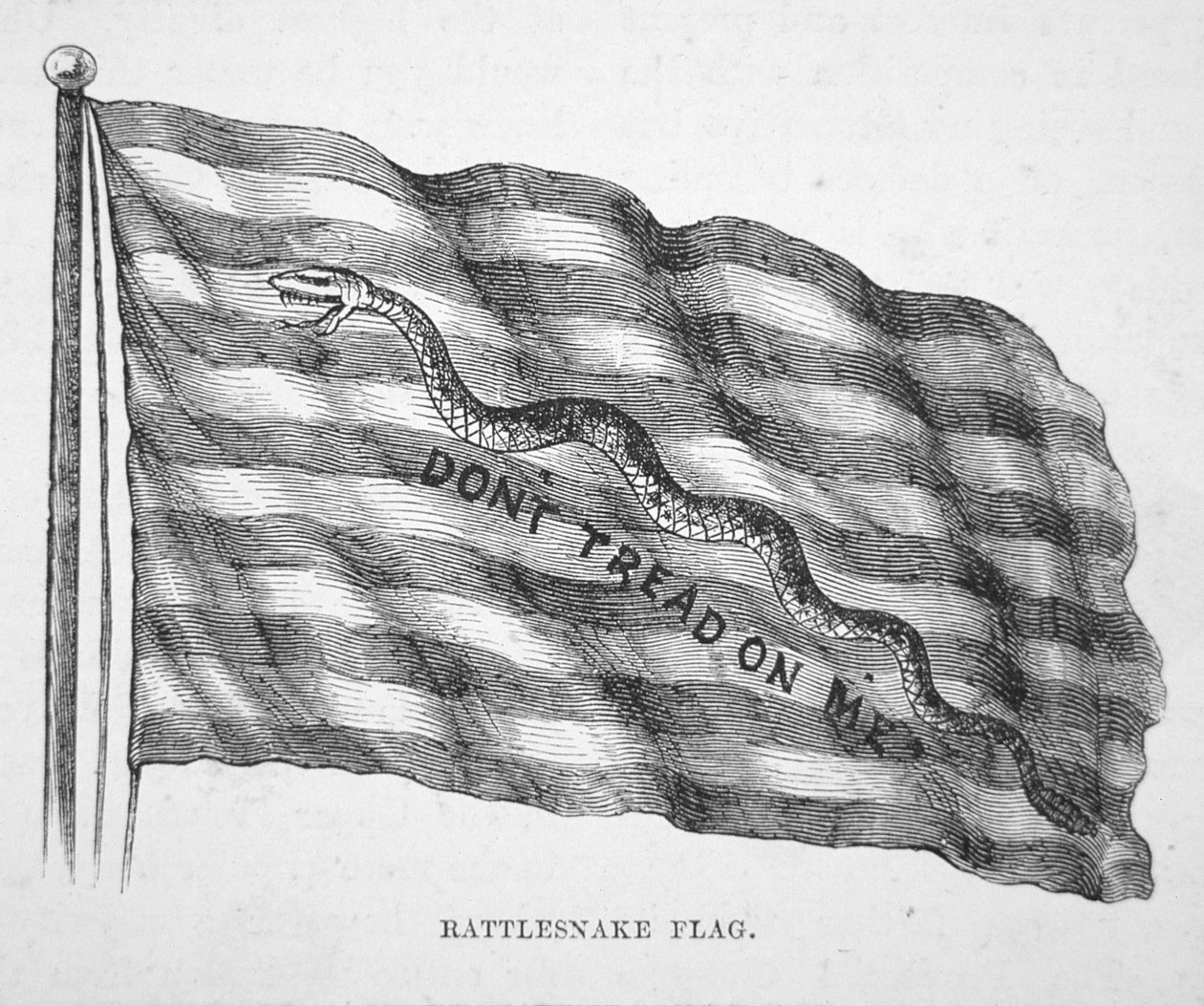 Amerikan deniz bayrağı, John Paul Jones (litho) tarafından uçtuğu gibi by School American