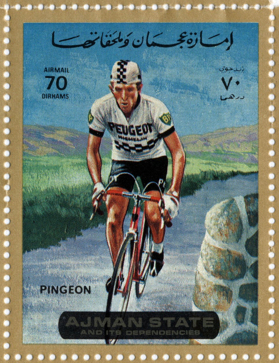 Bisikletçi Roger Pineon