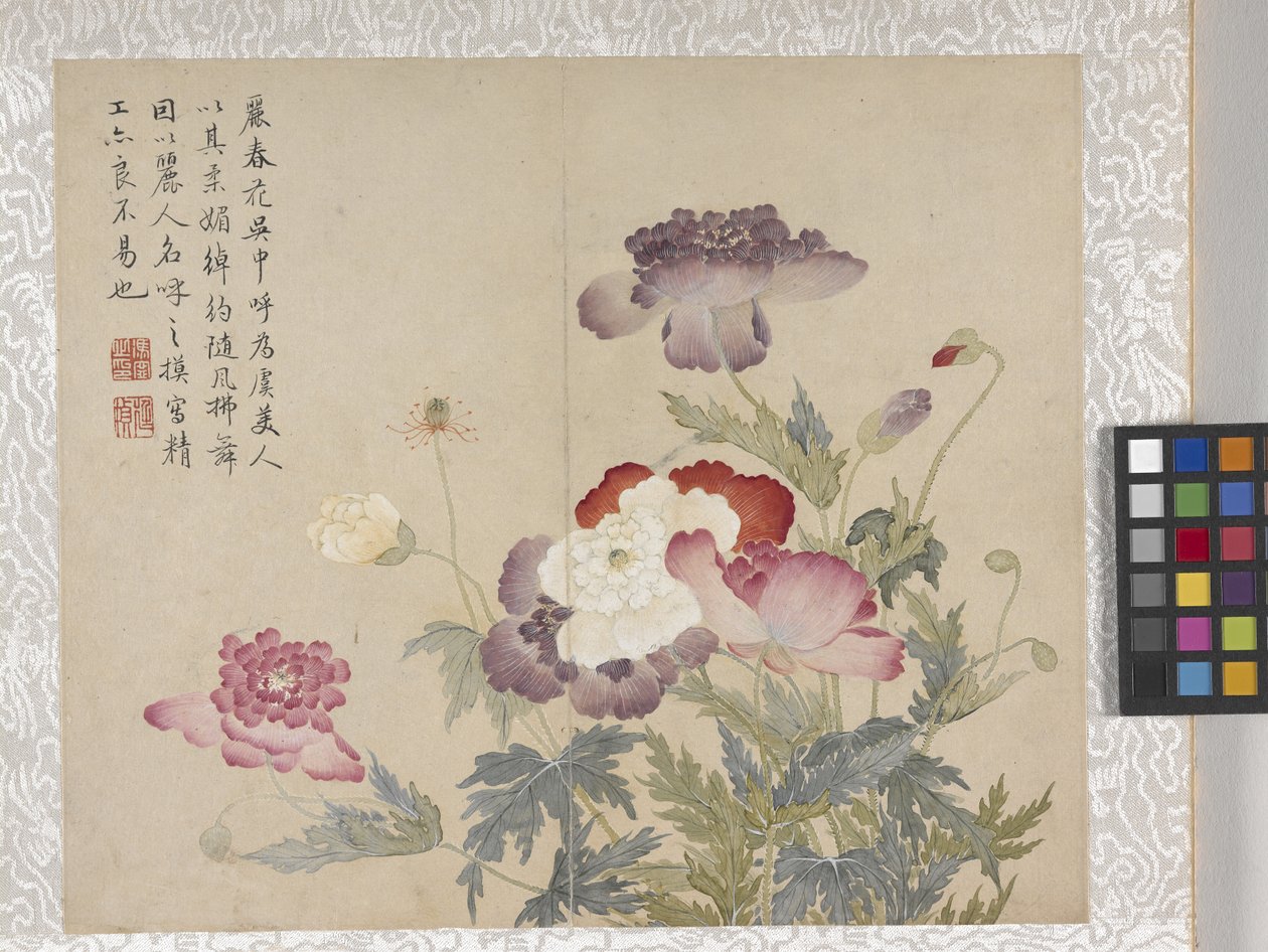  by School Chinese
