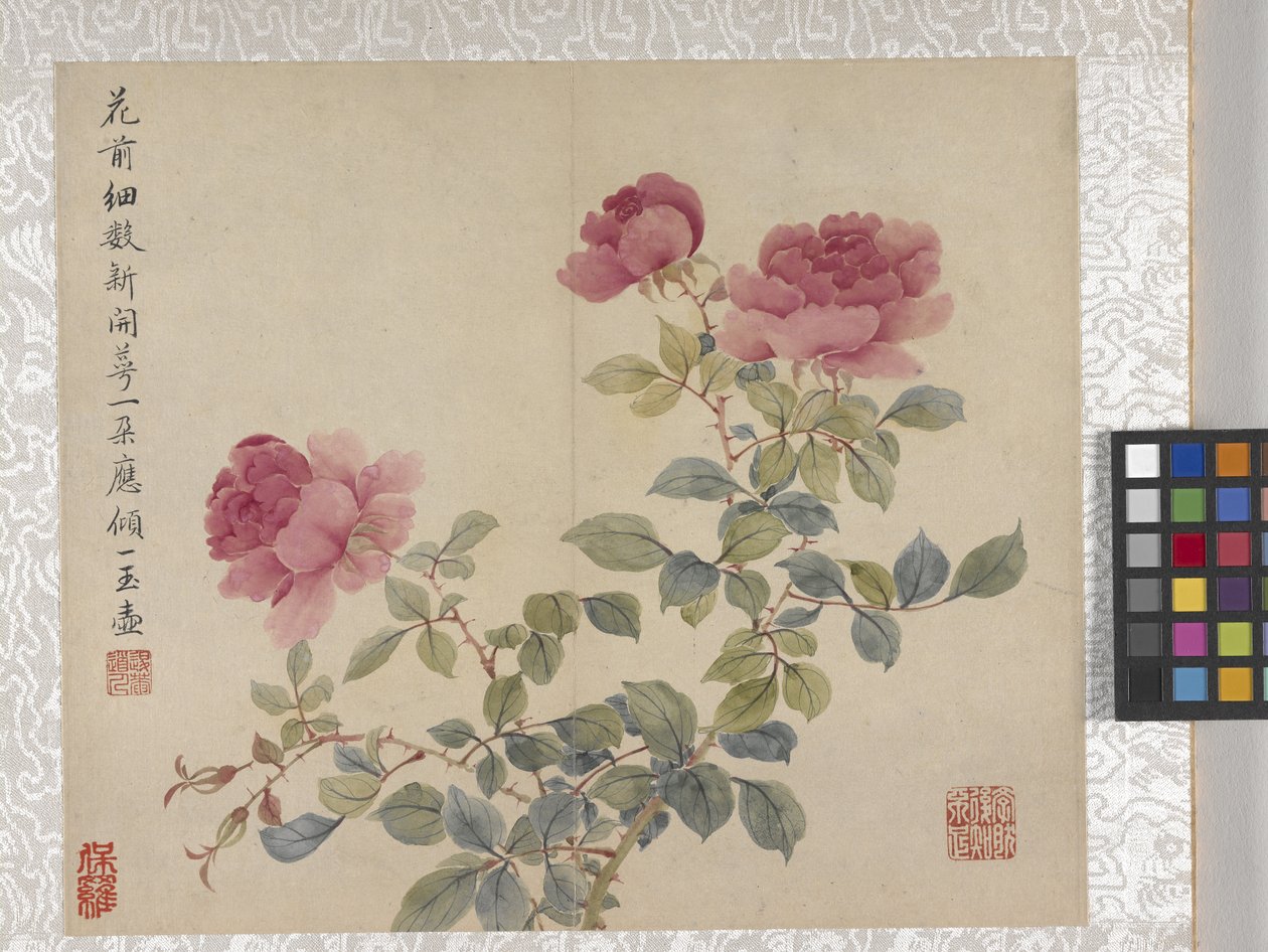  by School Chinese