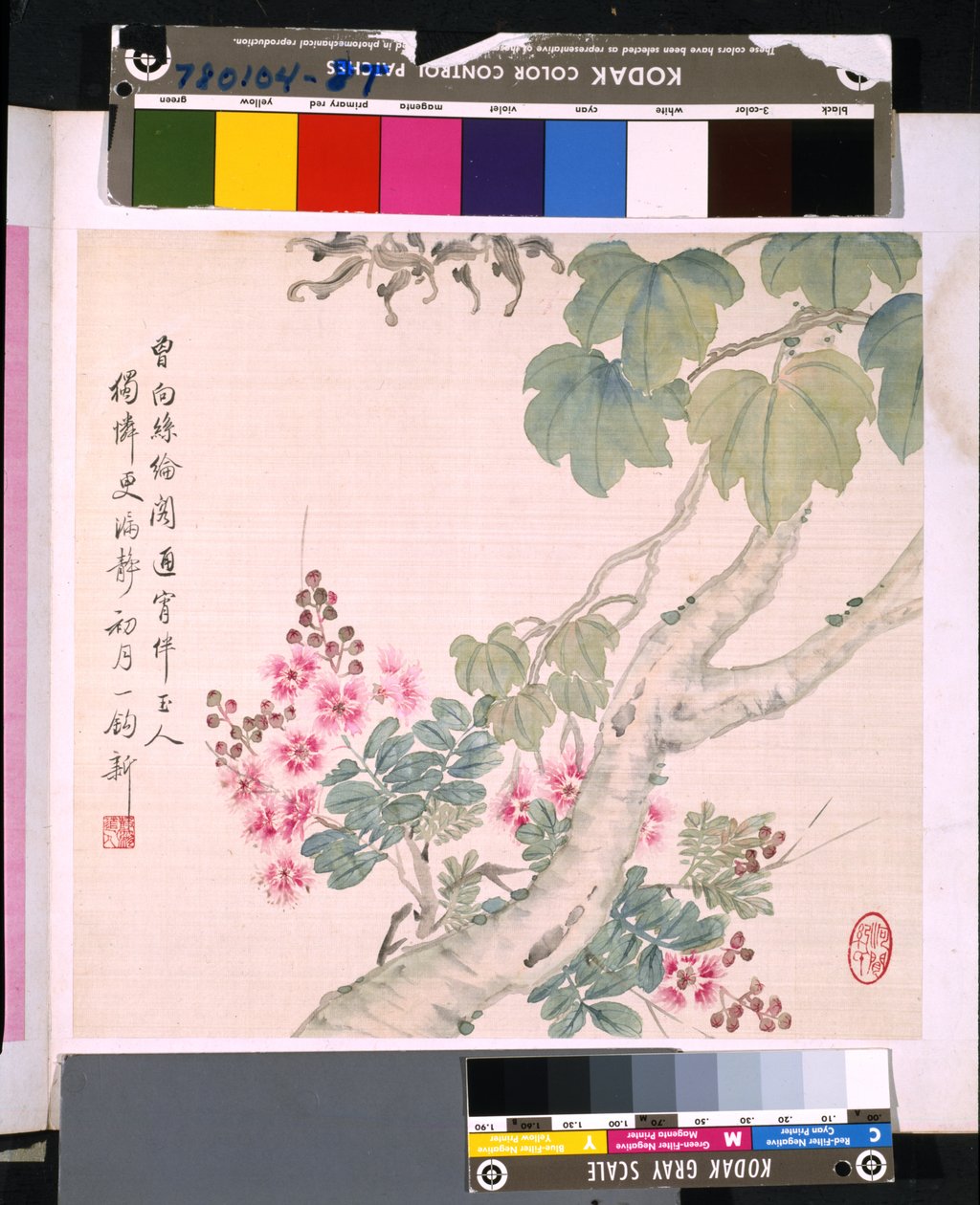  by School Chinese