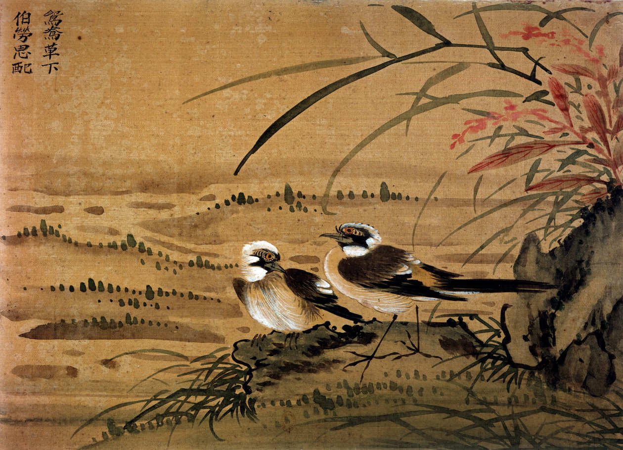 Sanat Çin: Kuşlar. 16. yüzyıldan Li youen kien tarafından ipek boyama. Paris, BN by School Chinese