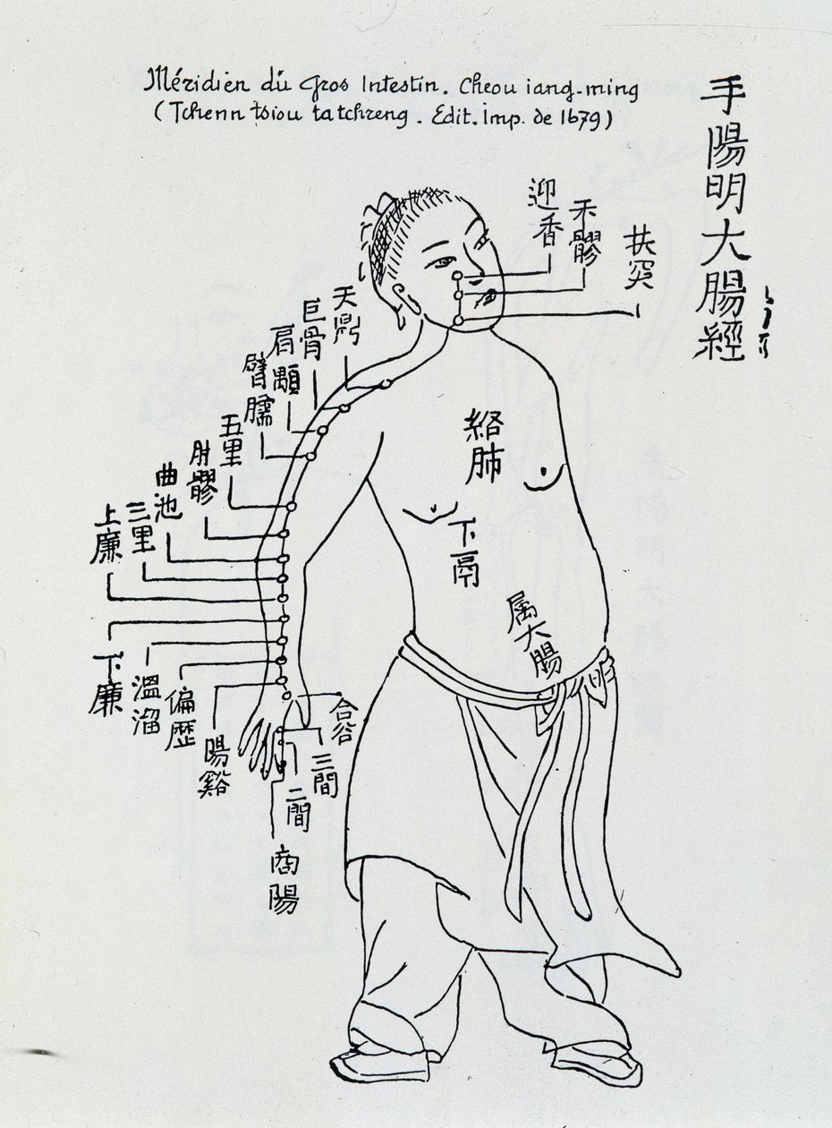 Çin akupunkturu: kalın bağırsak by School Chinese