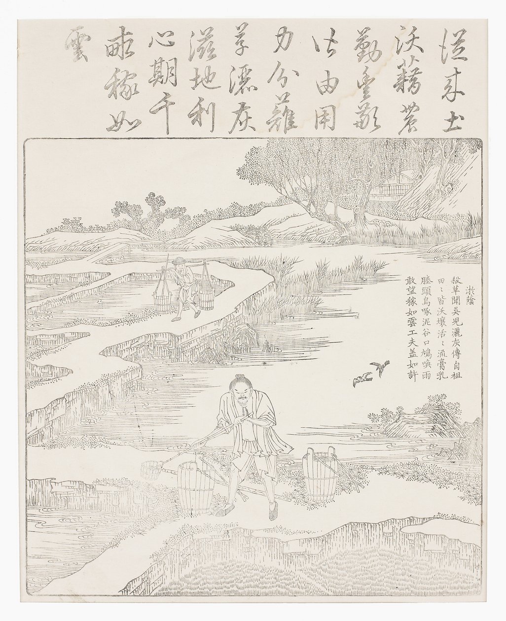 Pirinç fidelerinin gübrelenmesi by School Chinese