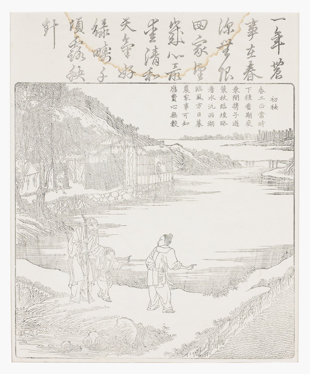 İlk pirinç filizlenmesi by School Chinese