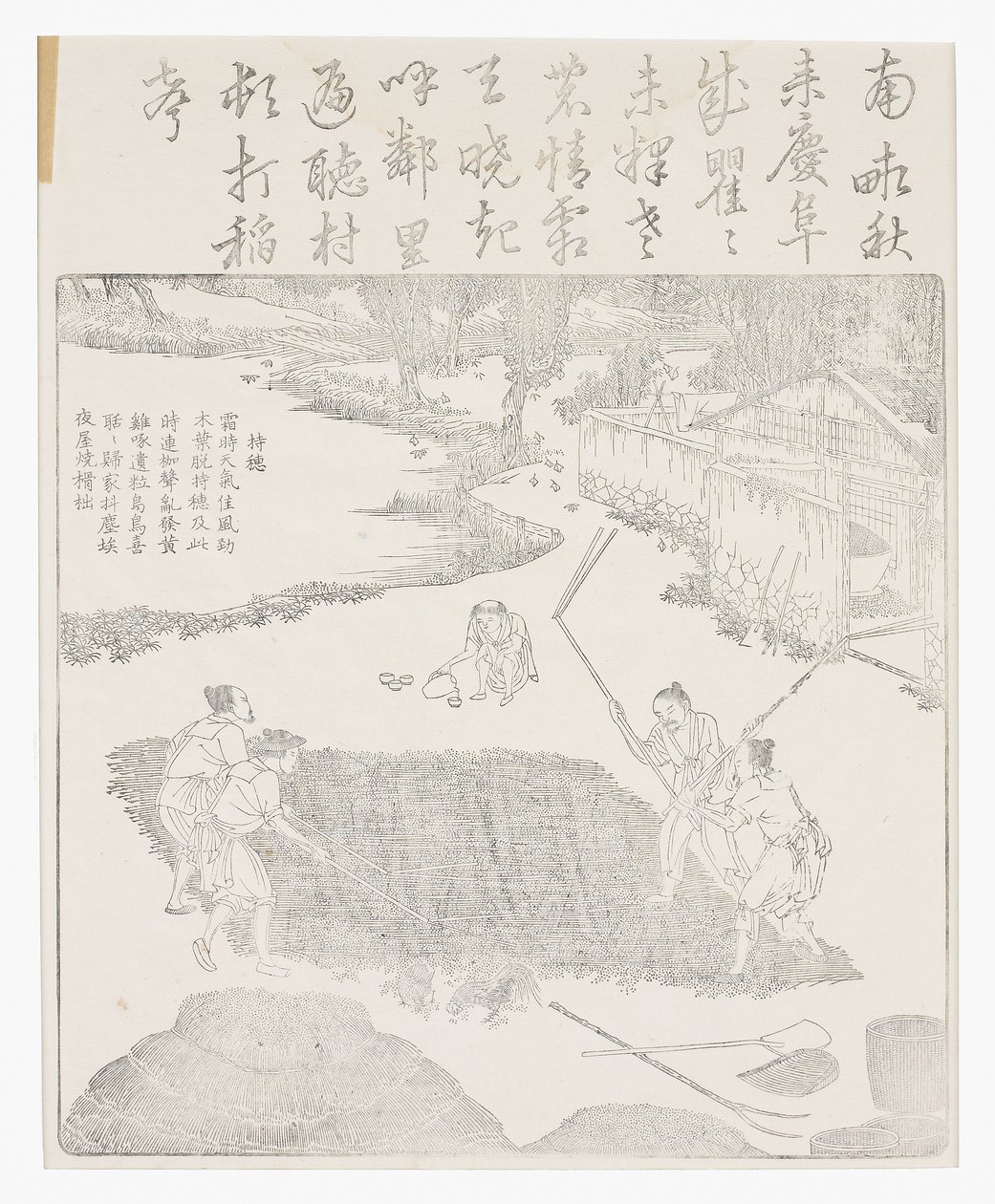pirinci soymak by School Chinese